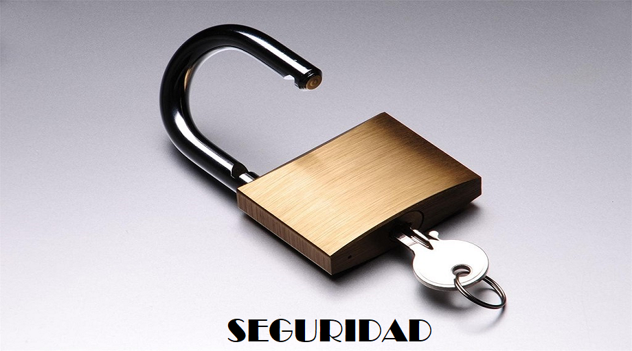 seguridad